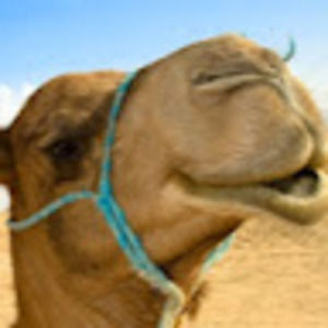 Meet your Posher, Genevieve